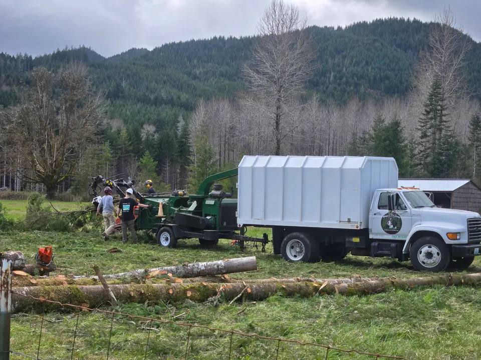 The Womer’s crew handles branches beside a chipper and truck, with felled logs in the foreground.