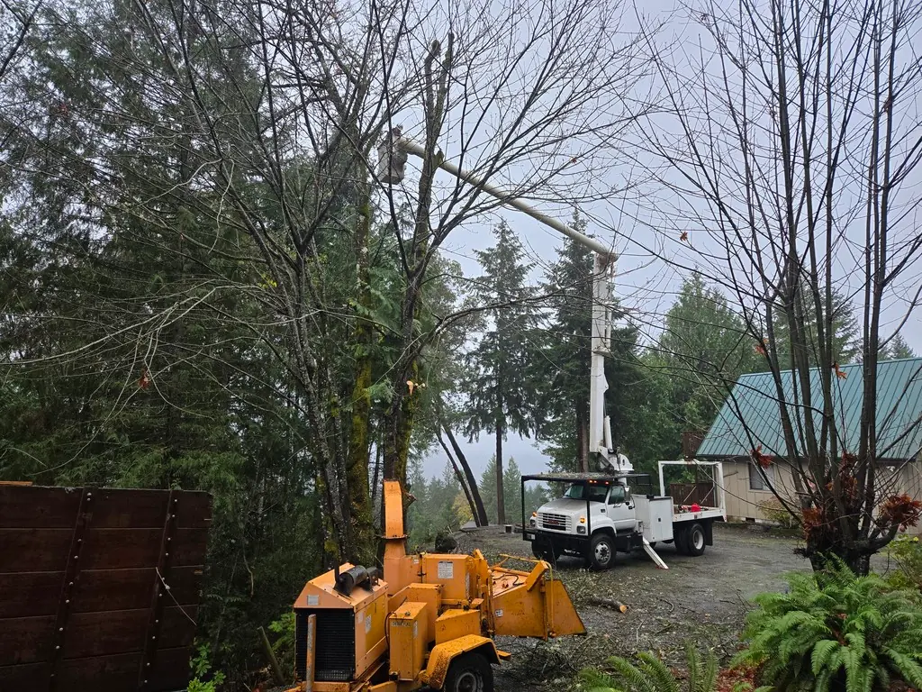 Womer’s bucket truck and chipper on a tree-service job