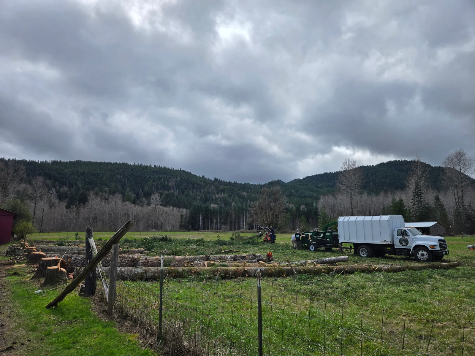 Womer’s trucks, crew and cut logs at a work site.