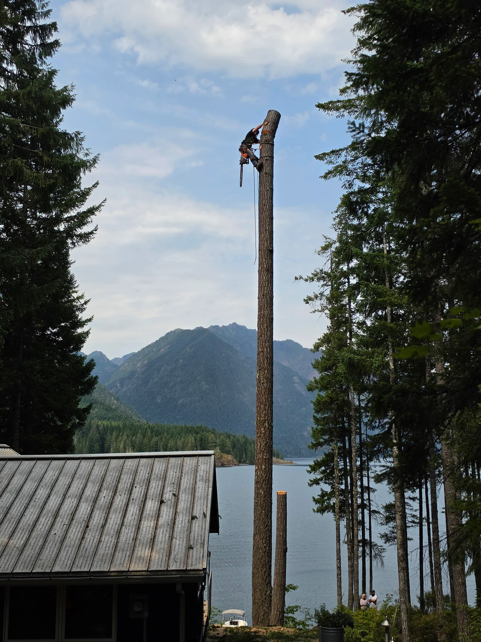 A Womer’s climber works on a tall trunk beside a lake.