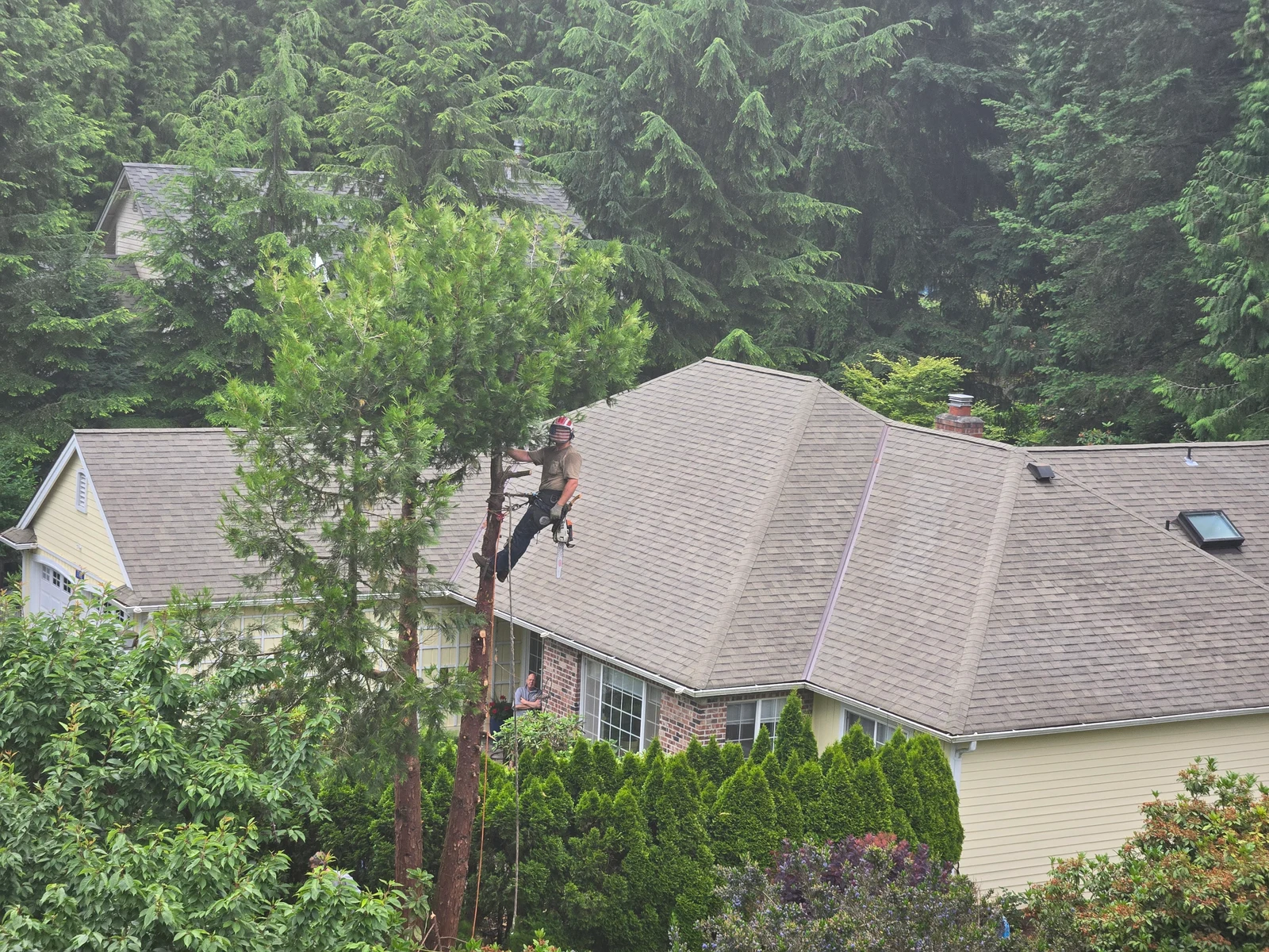 A Womer’s crew member works on a tree beside a house.