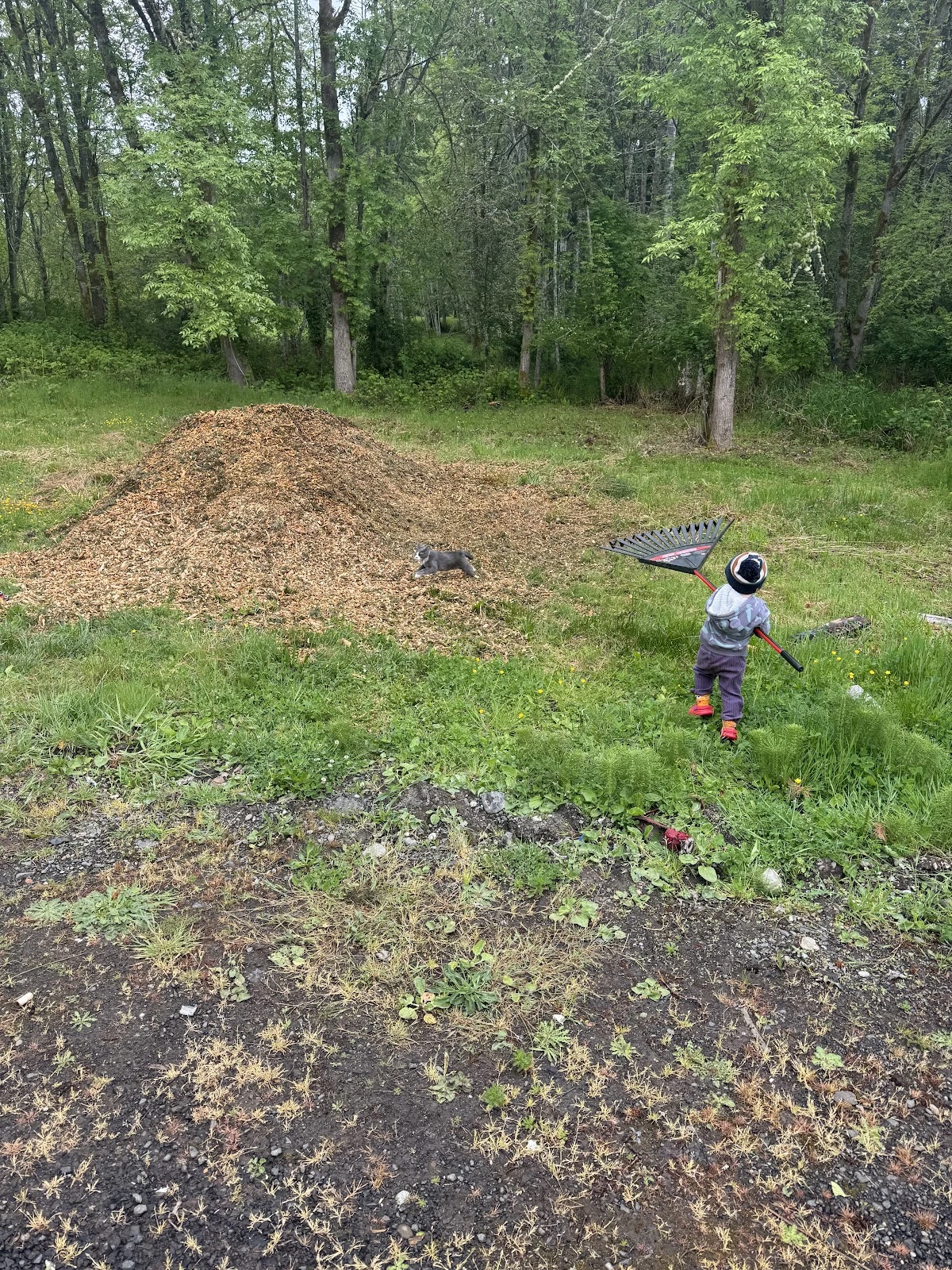 Customer project photo shared by Emily Henrich on Google