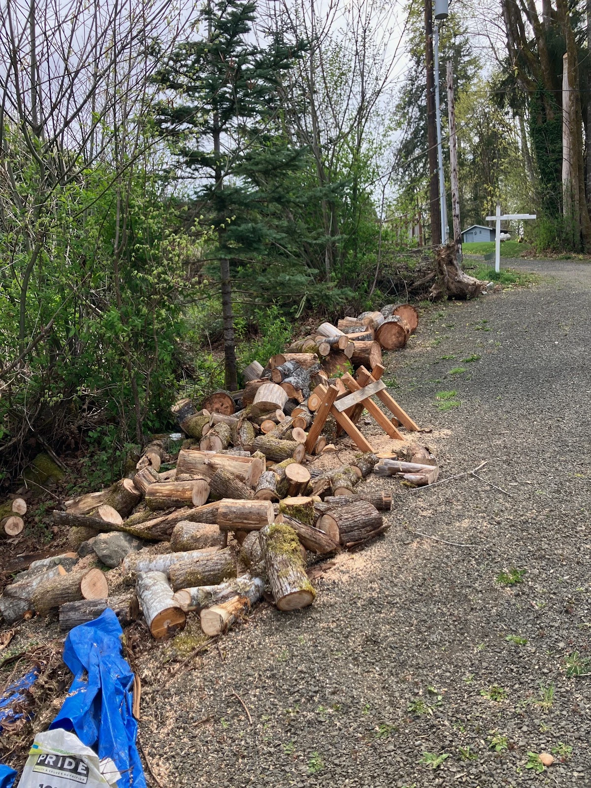 Customer project photo shared by Rachel Le Mieux on Google